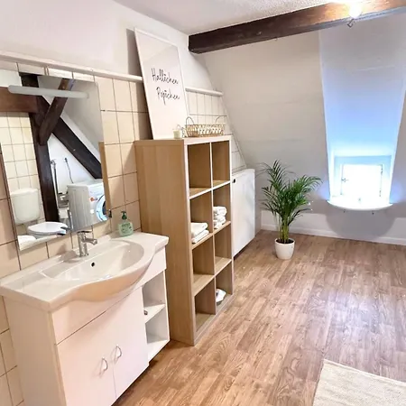 Apartment Stilvolle Am Stadtpark Schoningen